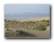 Click to enlarge this image